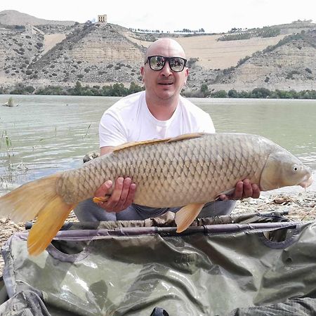 R U Ready Fishing, River Ebro メキネンサ エクステリア 写真