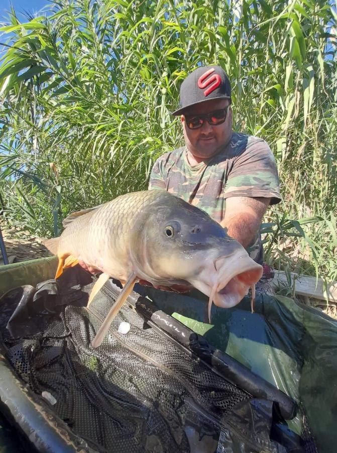 R U Ready Fishing, River Ebro メキネンサ エクステリア 写真