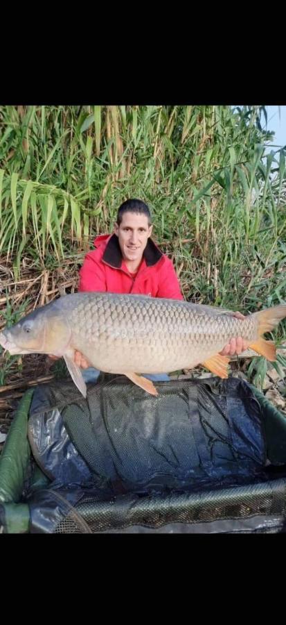 R U Ready Fishing, River Ebro メキネンサ エクステリア 写真